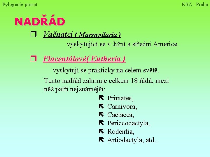 Fylogenie prasat KSZ - Praha NADŘÁD r Vačnatci ( Marsupilaria ) vyskytující se v