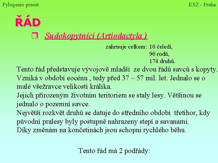 Fylogenie prasat KSZ - Praha ŘÁD r Sudokopytníci (Artiodactyla ) zahrnuje celkem: 10 čeledí, Fylogenie prasat KSZ - Praha ŘÁD r Sudokopytníci (Artiodactyla ) zahrnuje celkem: 10 čeledí,