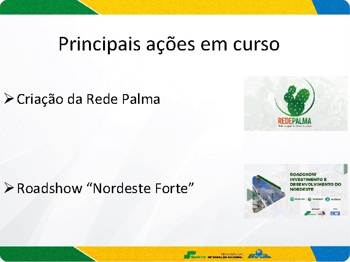 Principais ações em curso Ø Criação da Rede Palma Ø Roadshow “Nordeste Forte” 