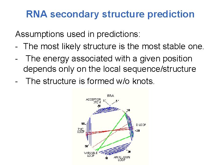 RNA secondary structure prediction Assumptions used in predictions: - The most likely structure is