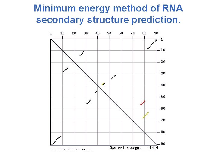 Minimum energy method of RNA secondary structure prediction. 