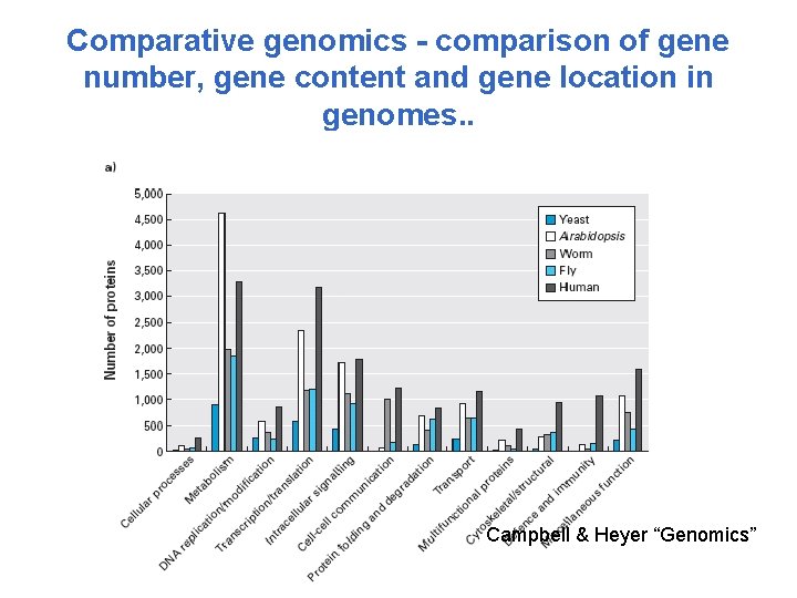 Comparative genomics - comparison of gene number, gene content and gene location in genomes.