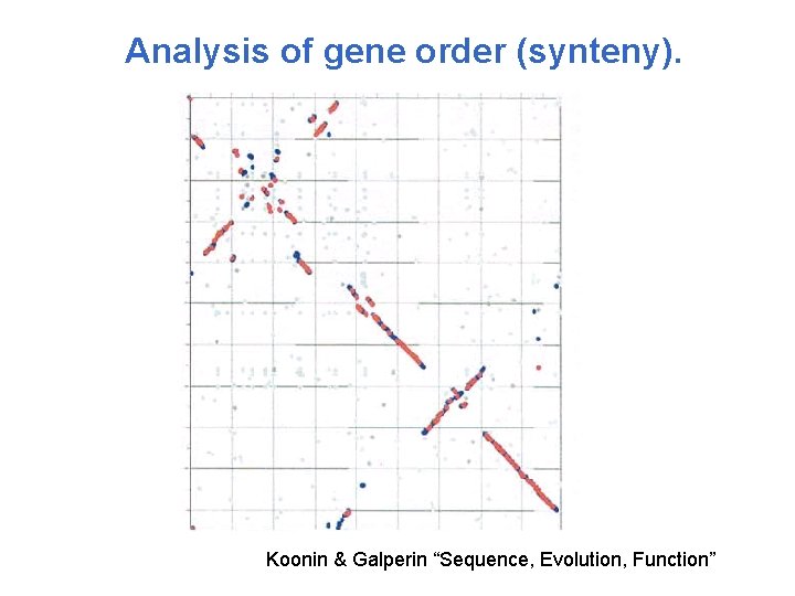 Analysis of gene order (synteny). Koonin & Galperin “Sequence, Evolution, Function” 