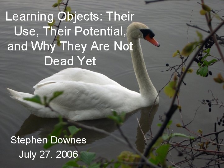 Learning Objects: Their Use, Their Potential, and Why They Are Not Dead Yet Stephen