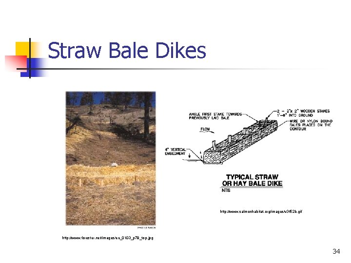 Straw Bale Dikes http: //www. salmonhabitat. org/images/v 3 f 52 b. gif http: //www.