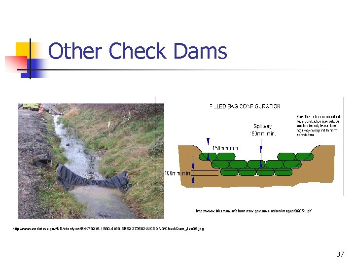 Other Check Dams http: //www. lakemac. infohunt. nsw. gov. au/erosion/images/09051. gif http: //www. wsdot.