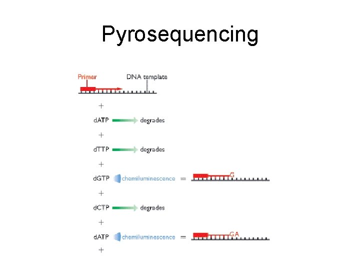 Pyrosequencing 