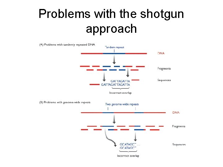 Problems with the shotgun approach 