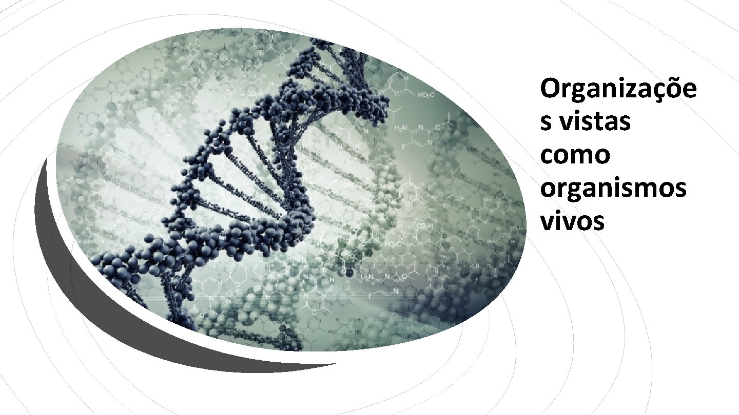 Organizaçõe s vistas como organismos vivos 