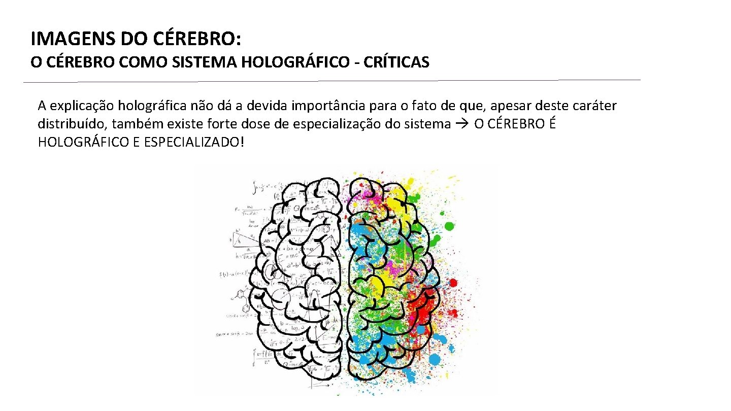 IMAGENS DO CÉREBRO: O CÉREBRO COMO SISTEMA HOLOGRÁFICO - CRÍTICAS A explicação holográfica não