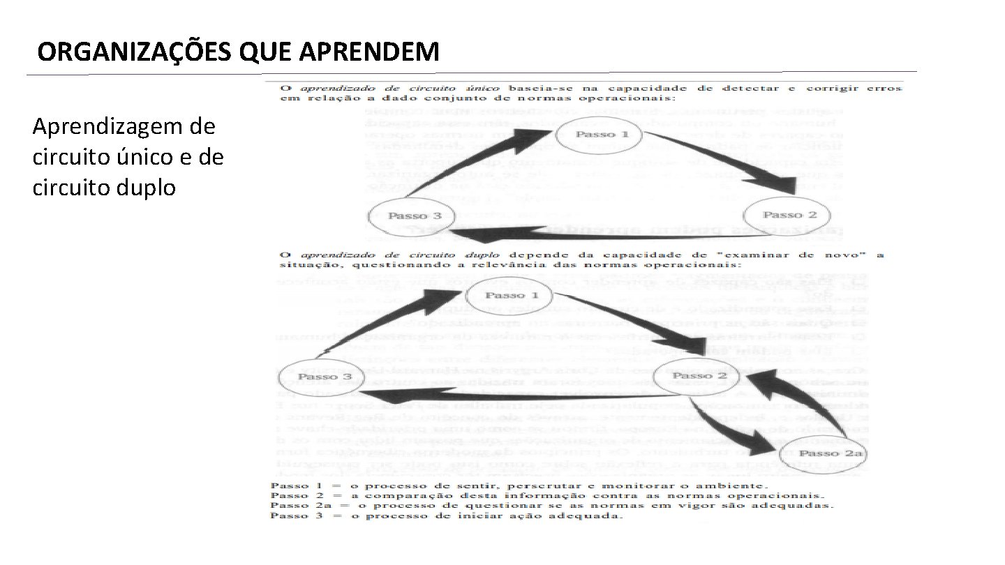 ORGANIZAÇÕES QUE APRENDEM Aprendizagem de circuito único e de circuito duplo 