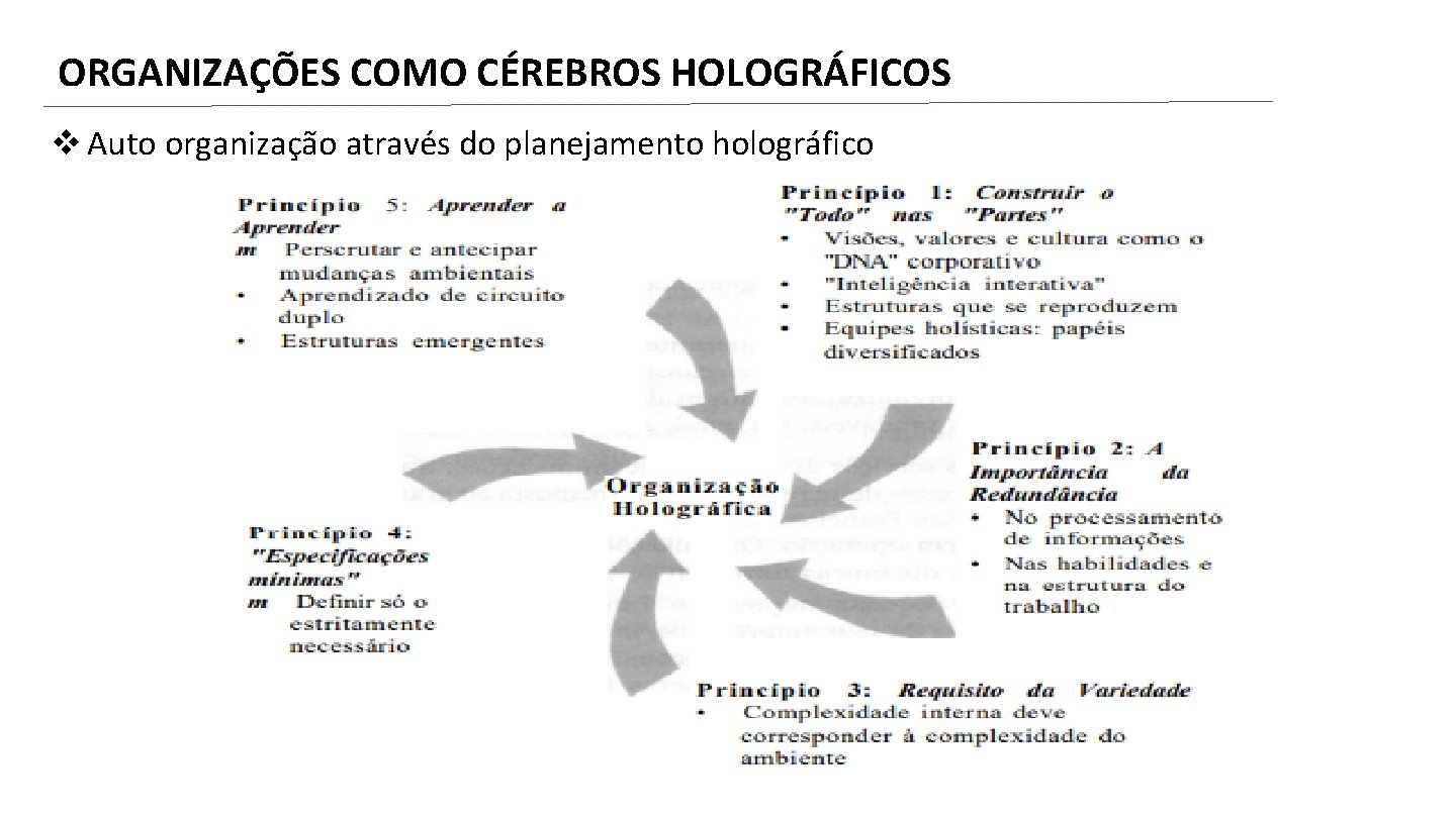 ORGANIZAÇÕES COMO CÉREBROS HOLOGRÁFICOS v Auto organização através do planejamento holográfico 
