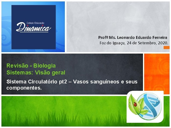 Profº Ms. Leonardo Eduardo Ferreira Foz do Iguaçu, 24 de Setembro, 2020. Revisão -