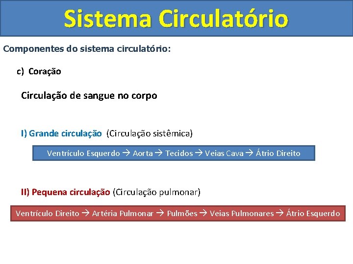 Sistema Circulatório Componentes do sistema circulatório: c) Coração Circulação de sangue no corpo I)