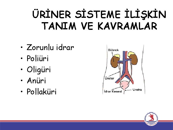 ÜRİNER SİSTEME İLİŞKİN TANIM VE KAVRAMLAR • • • Zorunlu idrar Poliüri Oligüri Anüri ÜRİNER SİSTEME İLİŞKİN TANIM VE KAVRAMLAR • • • Zorunlu idrar Poliüri Oligüri Anüri