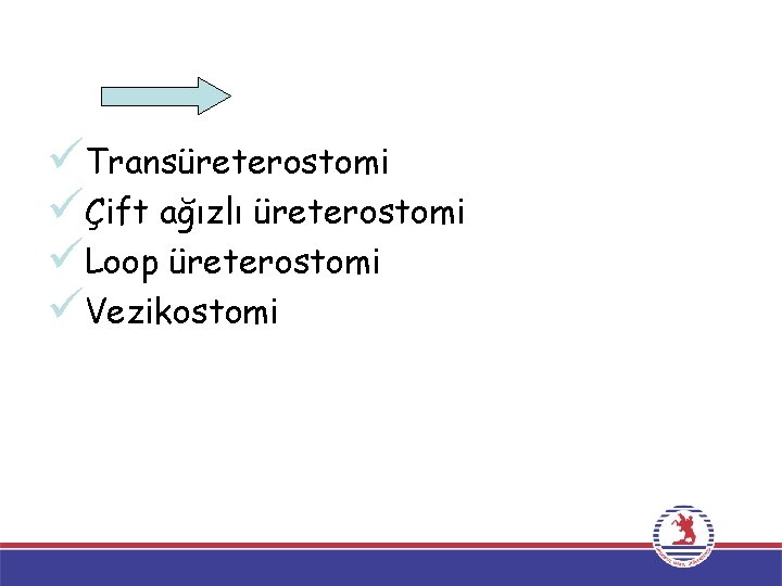 üTransüreterostomi üÇift ağızlı üreterostomi üLoop üreterostomi üVezikostomi üTransüreterostomi üÇift ağızlı üreterostomi üLoop üreterostomi üVezikostomi