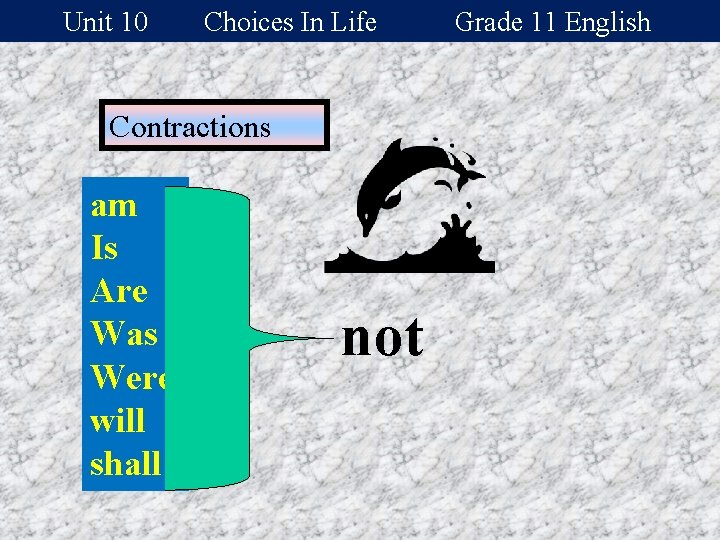 Unit 10 Choices In Life Contractions am Is Are Was Were will shall not