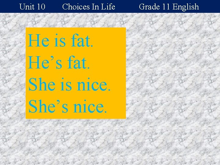 Unit 10 Choices In Life He is fat. He’s fat. She is nice. She’s