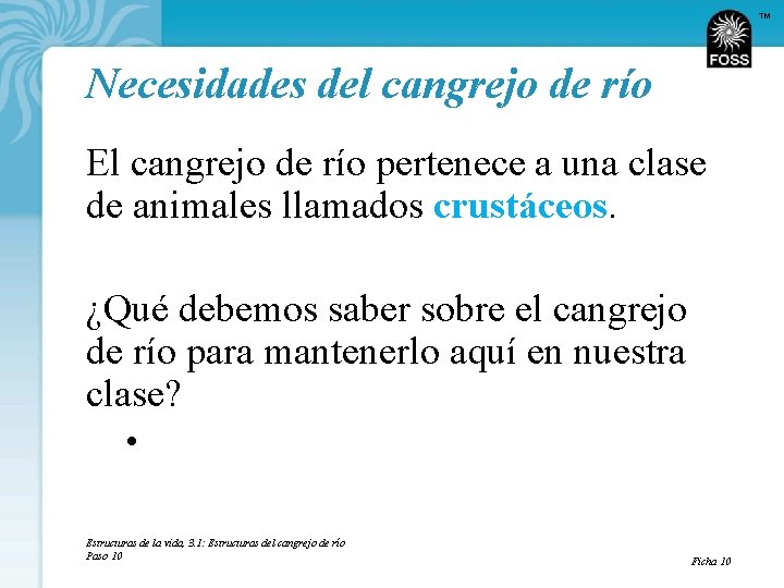 TM Necesidades del cangrejo de río El cangrejo de río pertenece a una clase