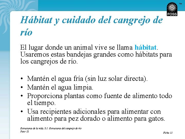 TM Hábitat y cuidado del cangrejo de río El lugar donde un animal vive