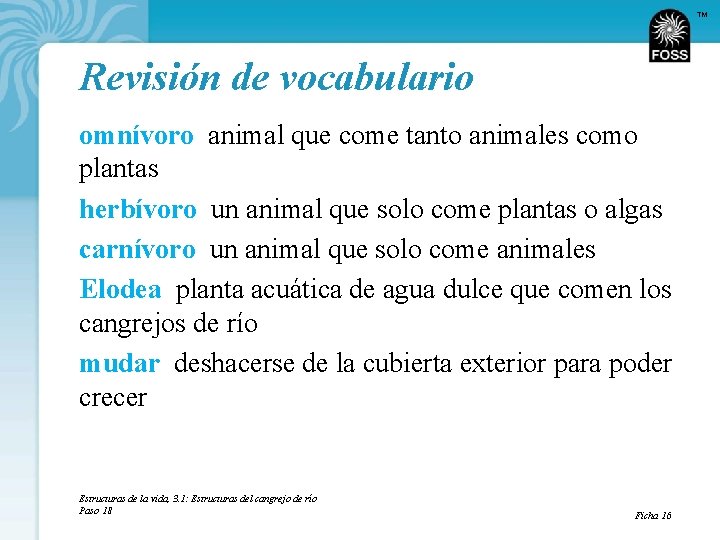 TM Revisión de vocabulario omnívoro animal que come tanto animales como plantas herbívoro un