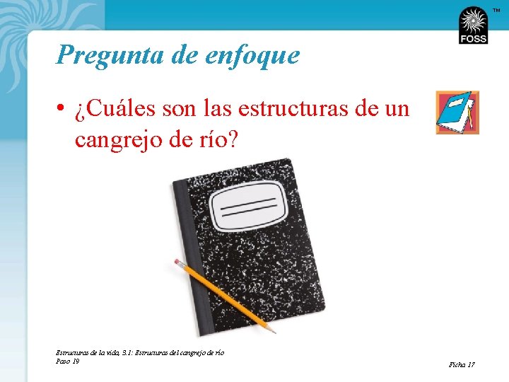 TM Pregunta de enfoque • ¿Cuáles son las estructuras de un cangrejo de río?