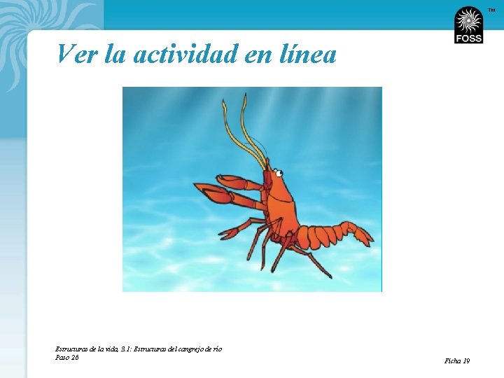 TM Ver la actividad en línea Estructuras de la vida, 3. 1: Estructuras del