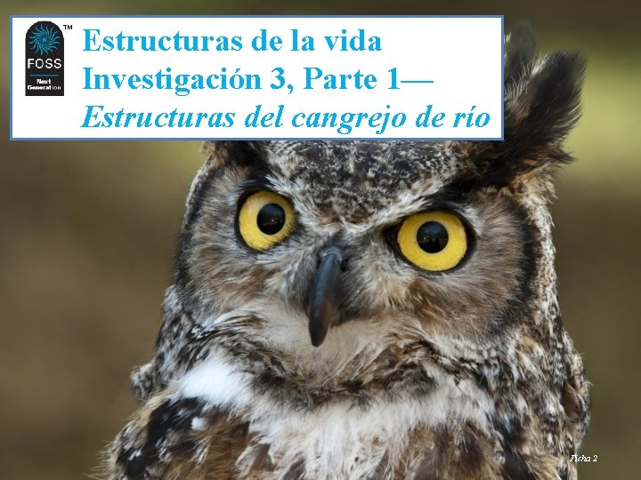 TM TM Estructuras de la vida Investigación 3, Parte 1— Estructuras del cangrejo de