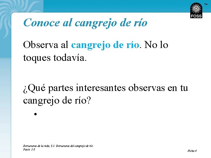 TM Conoce al cangrejo de río Observa al cangrejo de río. No lo toques