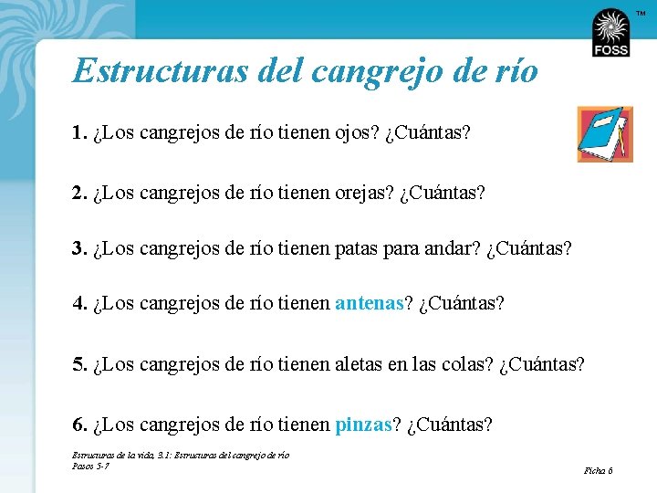 TM Estructuras del cangrejo de río 1. ¿Los cangrejos de río tienen ojos? ¿Cuántas?