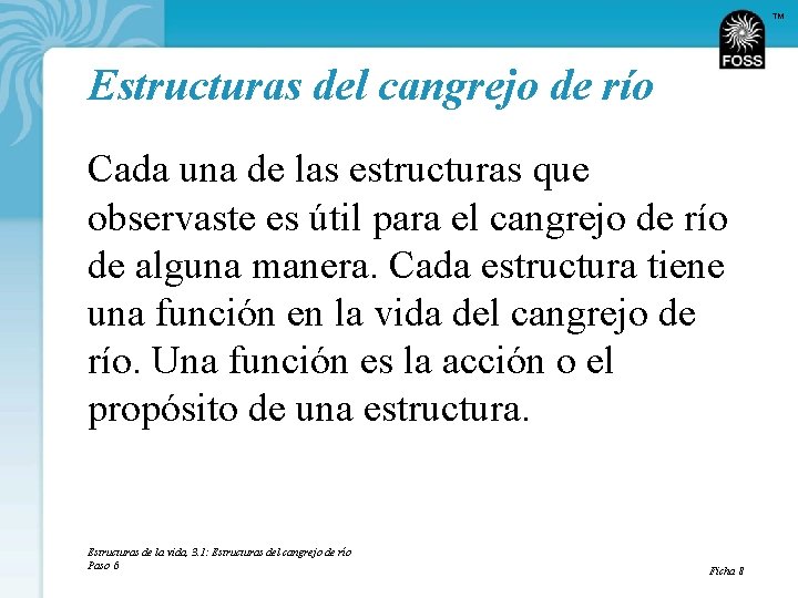 TM Estructuras del cangrejo de río Cada una de las estructuras que observaste es