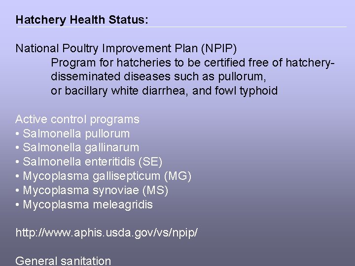 Specialty Breeds for Natural and Organic Poultry Production