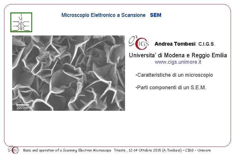 Microscopio Elettronico a Scansione SEM Andrea Tombesi C. I. G. S. Universita’ di Modena