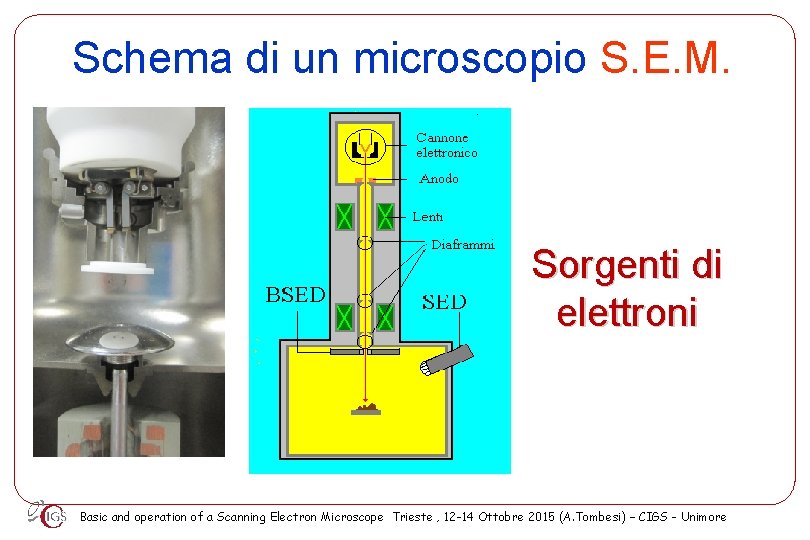 Microscopio Elettronico a Scansione SEM Andrea Tombesi C