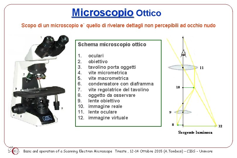 Microscopio Elettronico a Scansione SEM Andrea Tombesi C