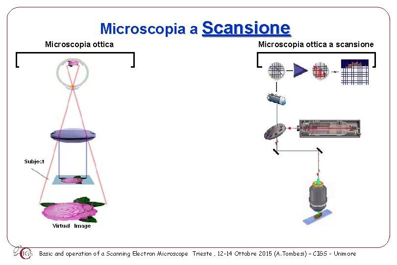 Microscopio Elettronico a Scansione SEM Andrea Tombesi C