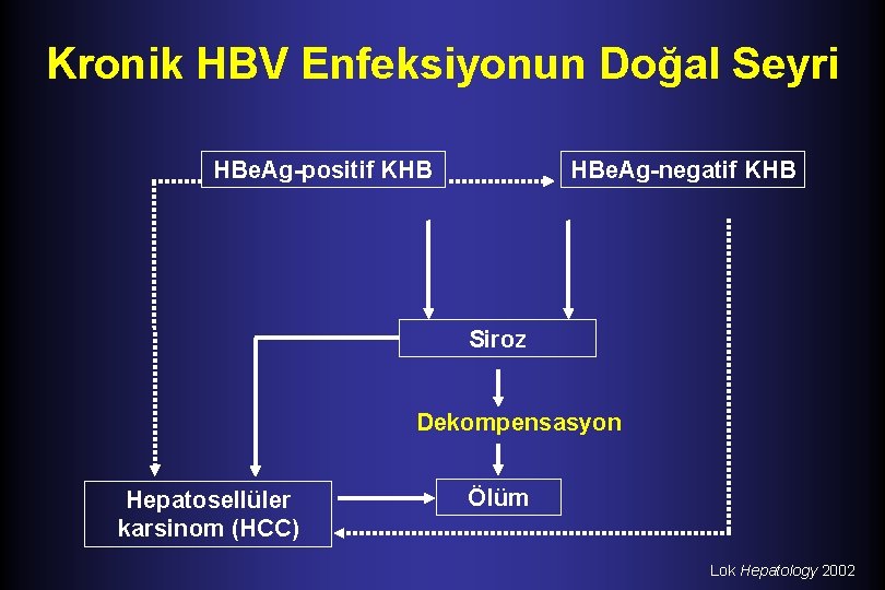 Kronik HBV Enfeksiyonun Doğal Seyri HBe. Ag-positif KHB HBe. Ag-negatif KHB Siroz Dekompensasyon Hepatosellüler