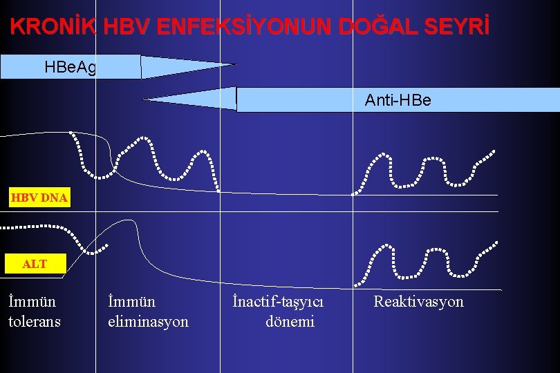 KRONİK HBV ENFEKSİYONUN DOĞAL SEYRİ HBe. Ag Anti-HBe HBV DNA ALT İmmün tolerans İmmün