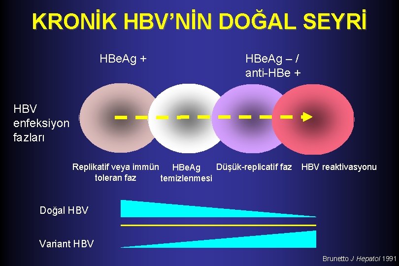 KRONİK HBV’NİN DOĞAL SEYRİ HBe. Ag + HBe. Ag – / anti-HBe + HBV