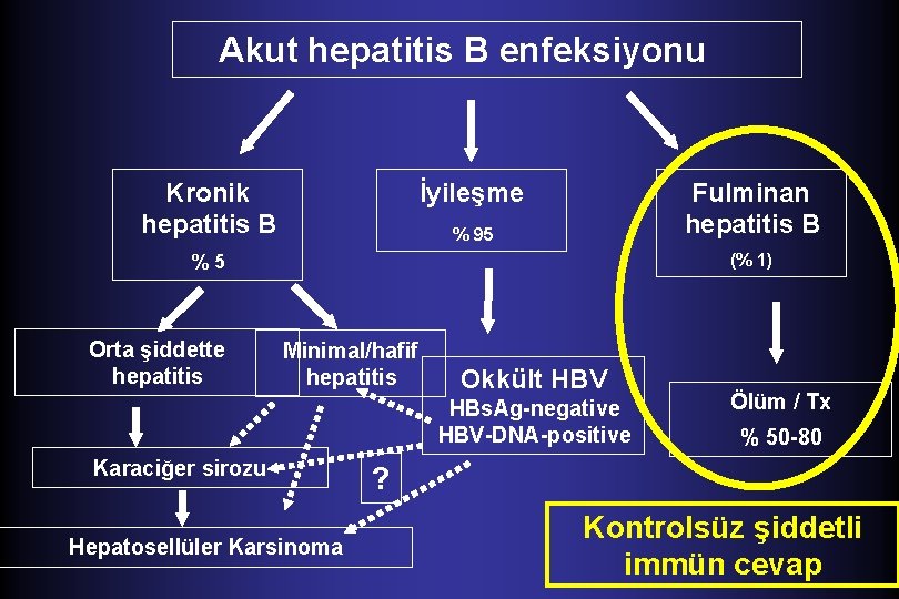 Akut hepatitis B enfeksiyonu Kronik hepatitis B Fulminan hepatitis B İyileşme % 95 (%