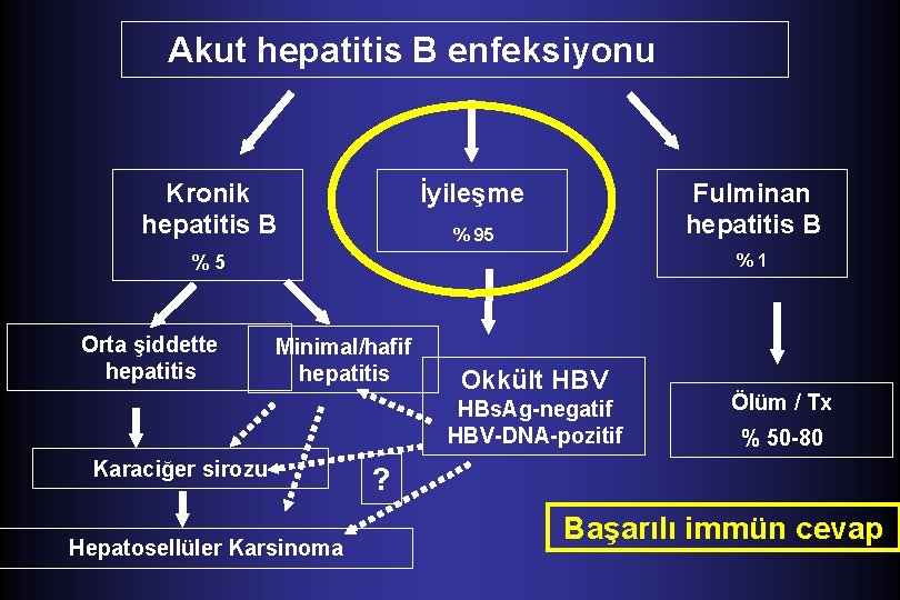 Akut hepatitis B enfeksiyonu Kronik hepatitis B Fulminan hepatitis B İyileşme % 95 %1