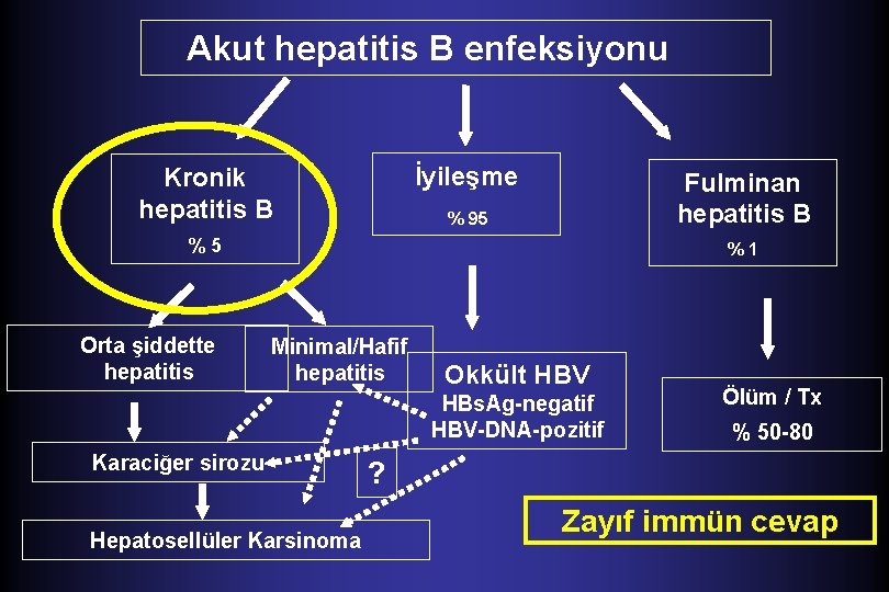 Akut hepatitis B enfeksiyonu İyileşme Kronik hepatitis B Fulminan hepatitis B % 95 %5