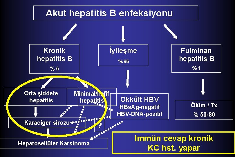 Akut hepatitis B enfeksiyonu Kronik hepatitis B İyileşme % 95 %1 %5 Orta şiddete