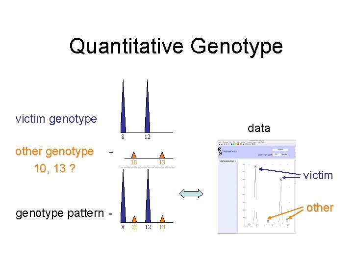 Quantitative Genotype victim genotype 8 other genotype 10, 13 ? genotype pattern data 12