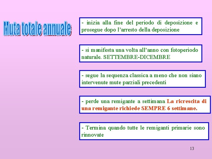 - inizia alla fine del periodo di deposizione e prosegue dopo l’arresto della deposizione