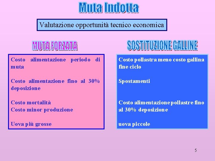Valutazione opportunità tecnico economica Costo alimentazione periodo di muta Costo pollastra meno costo gallina