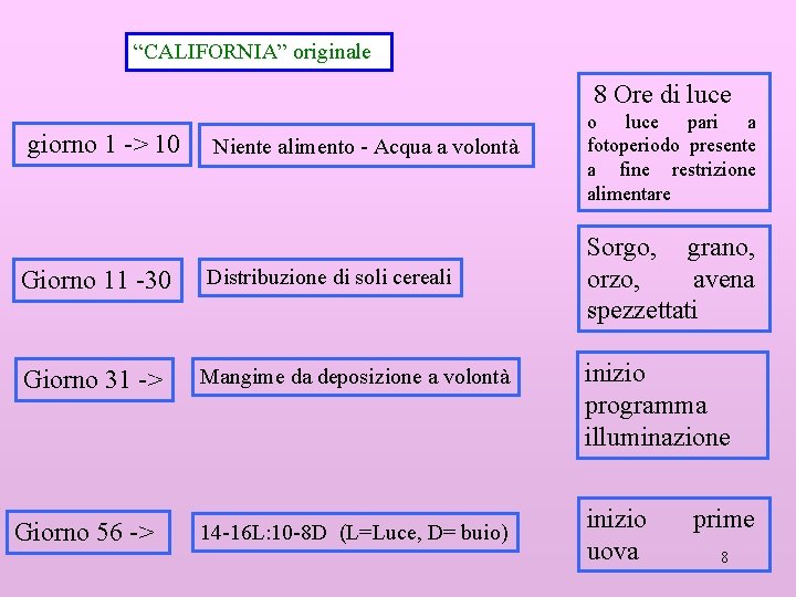 “CALIFORNIA” originale 8 Ore di luce giorno 1 -> 10 Niente alimento - Acqua