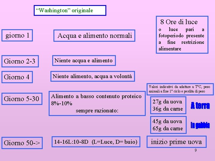 “Washington” originale 8 Ore di luce giorno 1 Acqua e alimento normali Giorno 2