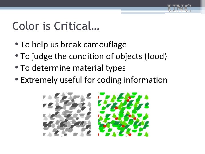 Color is Critical… • To help us break camouflage • To judge the condition