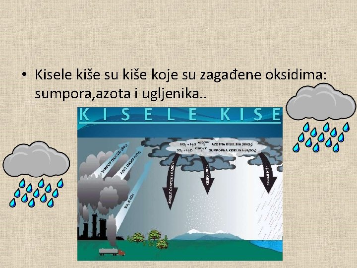  • Kisele kiše su kiše koje su zagađene oksidima: sumpora, azota i ugljenika.